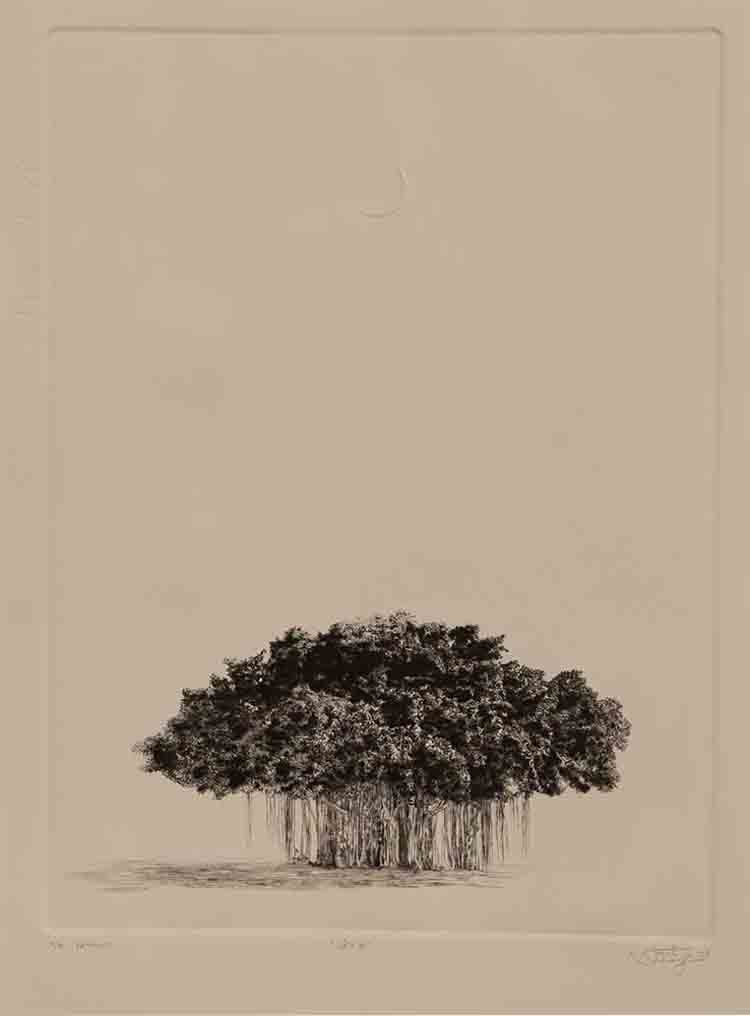 Khoj IV, 2023